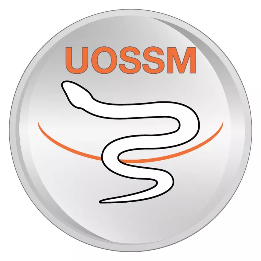 UOSSM Logo